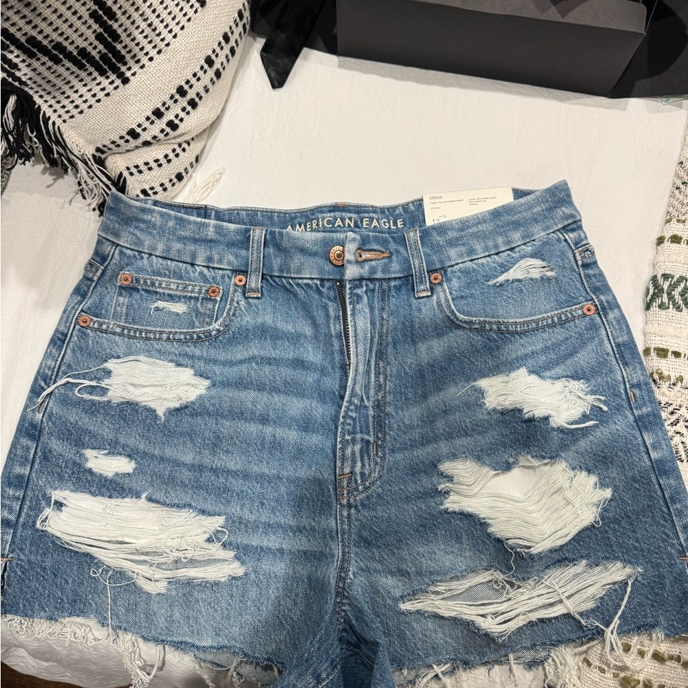 American Eagle Outfitters Light Blue Distressed Jean Shorts